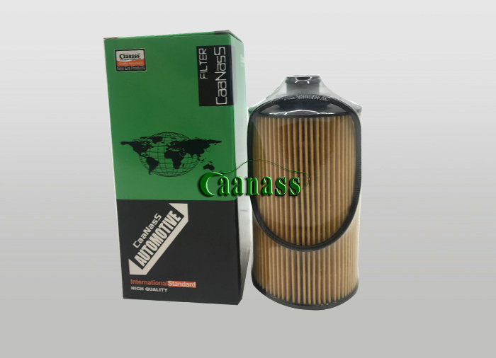 caanass weichai oil filter for bus 13055724
