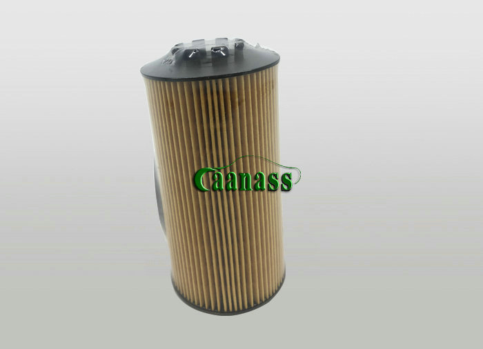 caanass kinglong oil filter 1012045-52EYA 17199-910521