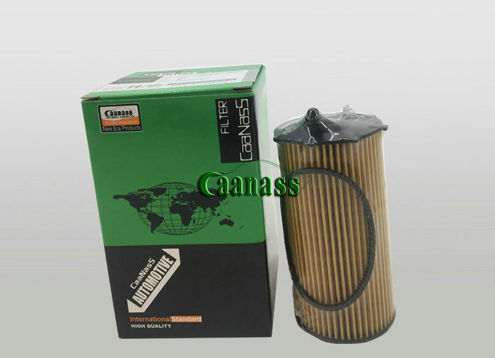 caanass higer fuel filter 1001367650 with good quality