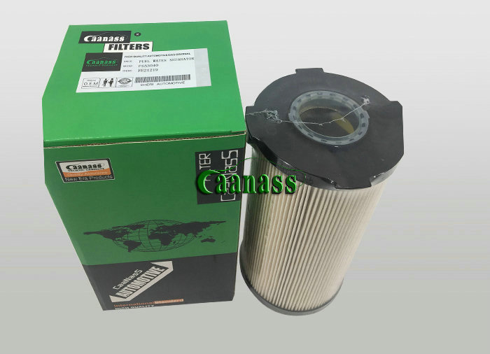 caanass higer Fuel Filter Element For bus FH21219